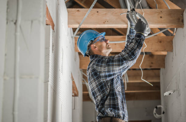 Best Electrical Upgrades for Homes  in Hernando Beach, FL