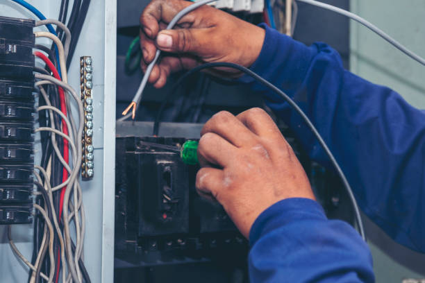 Best Electric Panel Repair  in Hernando Beach, FL