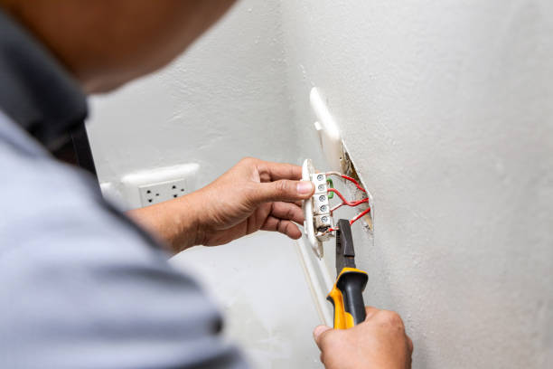 Best Ceiling Fan Installation Electrician  in Hernando Beach, FL