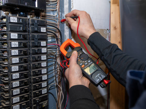 Best Local Electrician Companies  in Hernando Beach, FL